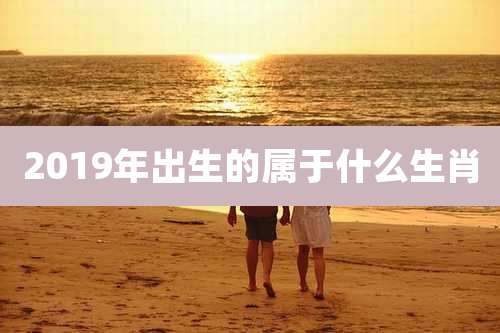 2019年出生的属于什么生肖