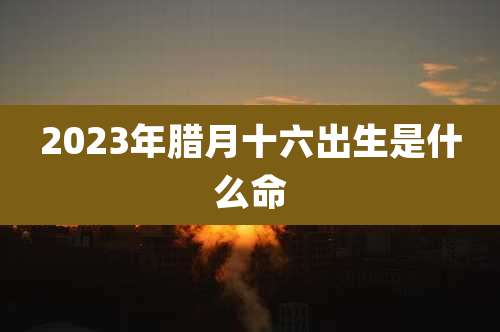 2023年腊月十六出生是什么命