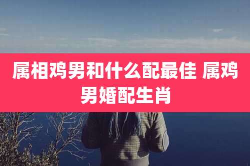 属相鸡男和什么配最佳 属鸡男婚配生肖