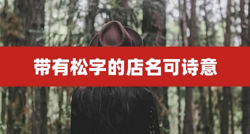 带有松字的店名可诗意