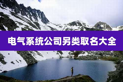 电气系统公司另类取名大全