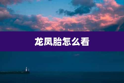 龙凤胎怎么看