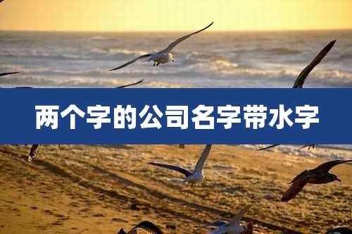 两个字的公司名字带水字