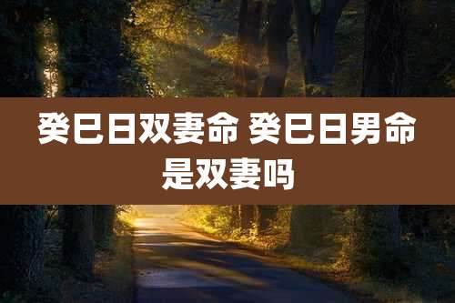 癸巳日双妻命 癸巳日男命是双妻吗