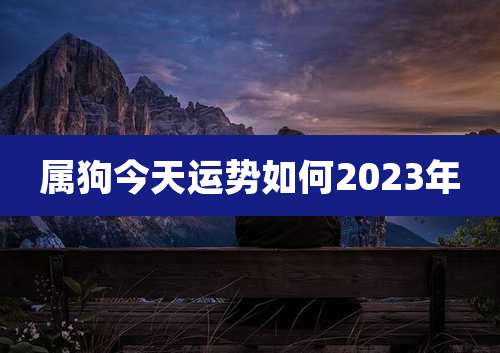属狗今天运势如何2023年