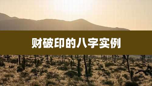 财破印的八字实例