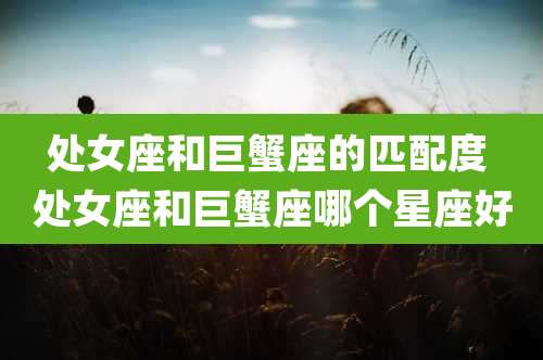 处女座和巨蟹座的匹配度 处女座和巨蟹座哪个星座好