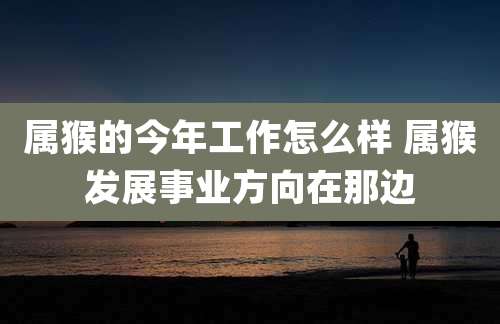 属猴的今年工作怎么样 属猴发展事业方向在那边