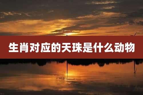 生肖对应的天珠是什么动物