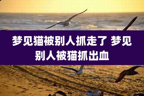 梦见猫被别人抓走了 梦见别人被猫抓出血
