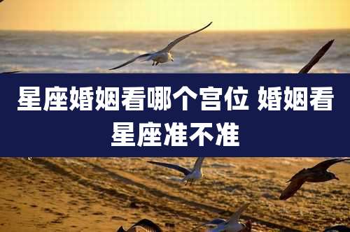 星座婚姻看哪个宫位 婚姻看星座准不准