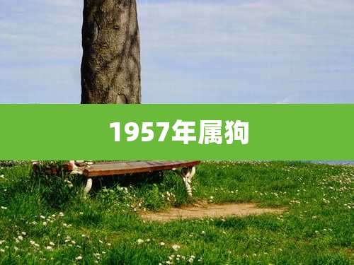 1957年属狗
