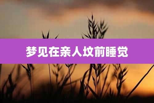 梦见在亲人坟前睡觉