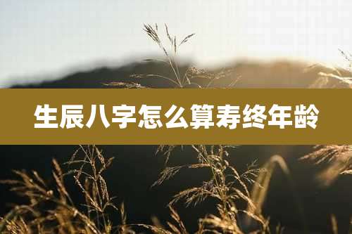 生辰八字怎么算寿终年龄