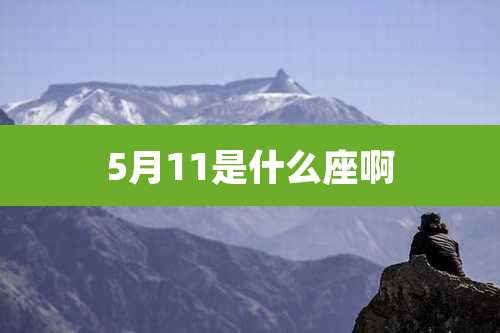 5月11是什么座啊