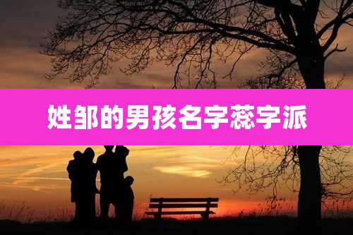 姓邹的男孩名字蕊字派