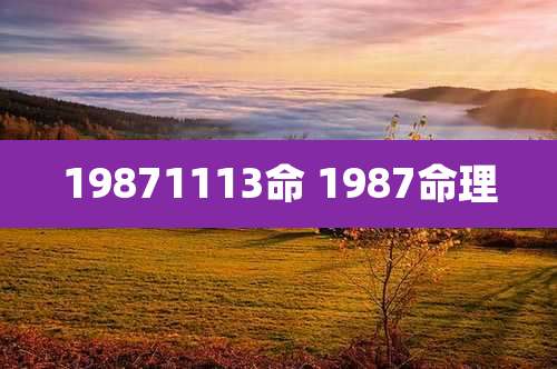 19871113命 1987命理