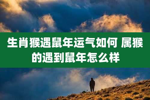 生肖猴遇鼠年运气如何 属猴的遇到鼠年怎么样