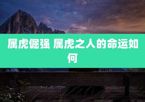 属虎倔强 属虎之人的命运如何
