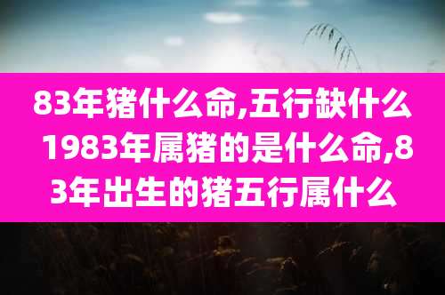 83年猪什么命,五行缺什么 1983年属猪的是什么命,83年出生的猪五行属什么
