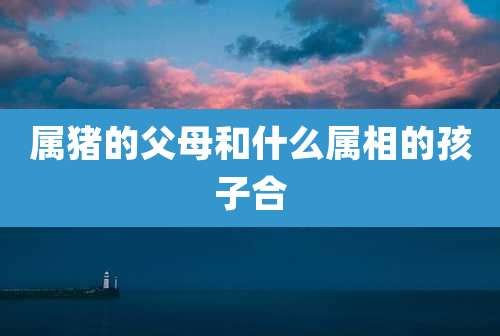 属猪的父母和什么属相的孩子合
