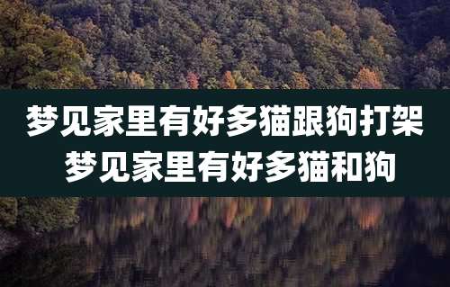 梦见家里有好多猫跟狗打架 梦见家里有好多猫和狗