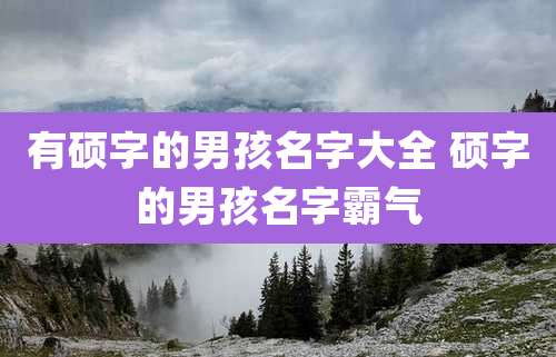 有硕字的男孩名字大全 硕字的男孩名字霸气