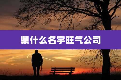 鼎什么名字旺气公司