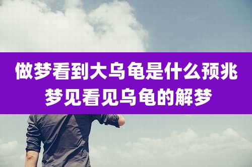 做梦看到大乌龟是什么预兆 梦见看见乌龟的解梦