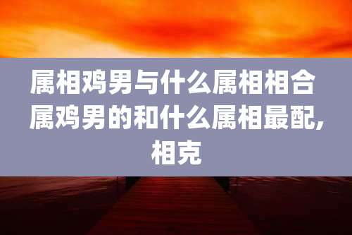 属相鸡男与什么属相相合 属鸡男的和什么属相最配,相克