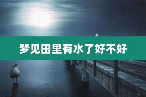 梦见田里有水了好不好