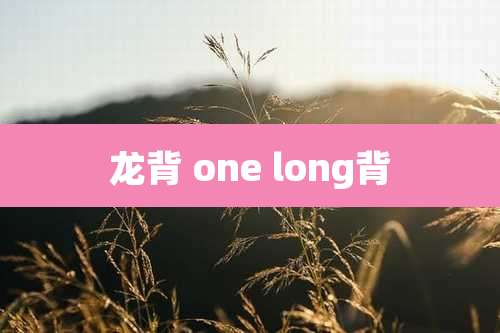 龙背 one long背