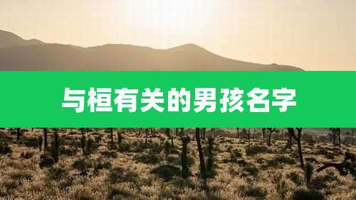 与桓有关的男孩名字