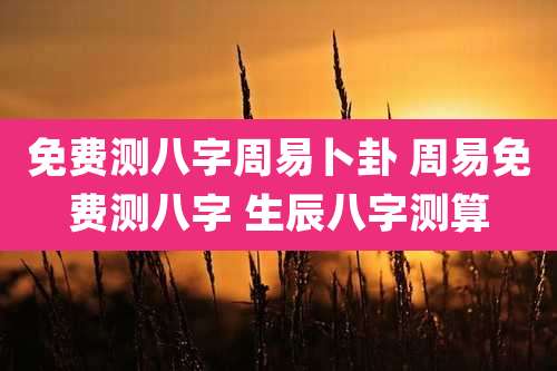 免费测八字周易卜卦 周易免费测八字 生辰八字测算