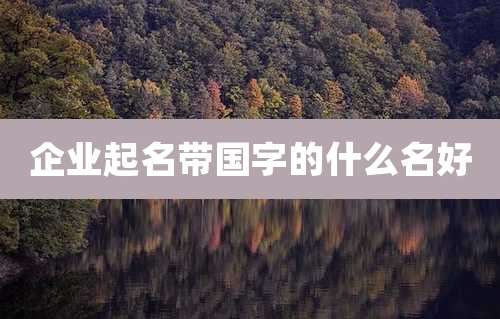 企业起名带国字的什么名好