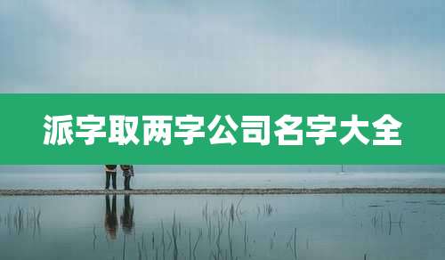 派字取两字公司名字大全