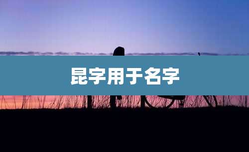 昆字用于名字