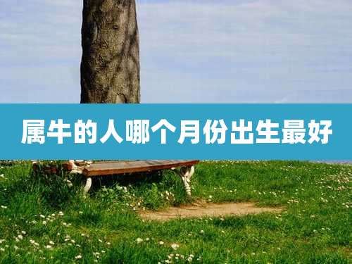 属牛的人哪个月份出生最好
