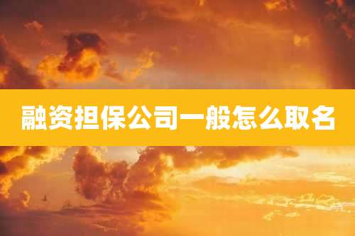融资担保公司一般怎么取名