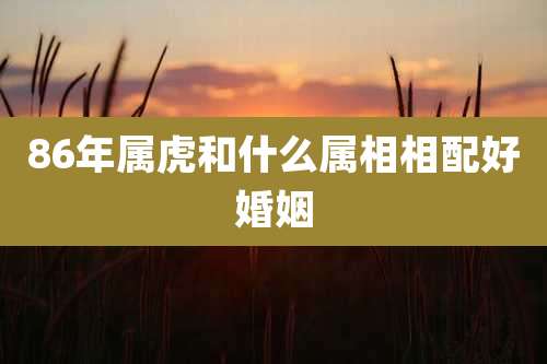 86年属虎和什么属相相配好婚姻