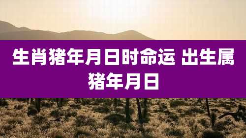 生肖猪年月日时命运 出生属猪年月日