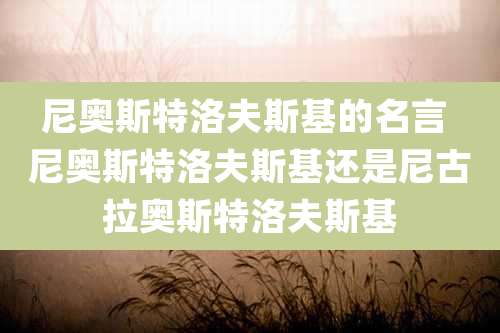 尼奥斯特洛夫斯基的名言 尼奥斯特洛夫斯基还是尼古拉奥斯特洛夫斯基
