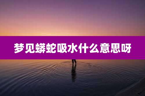 梦见蟒蛇吸水什么意思呀