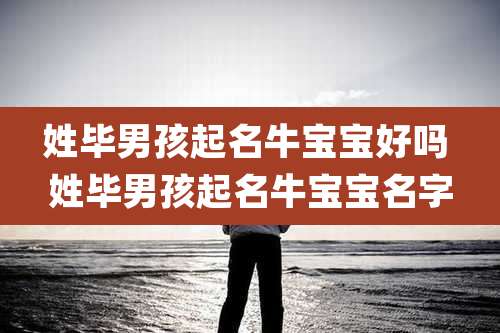 姓毕男孩起名牛宝宝好吗 姓毕男孩起名牛宝宝名字