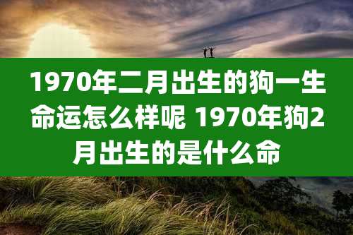 1970年二月出生的狗一生命运怎么样呢 1970年狗2月出生的是什么命