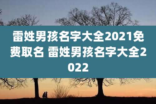 雷姓男孩名字大全2021免费取名 雷姓男孩名字大全2022