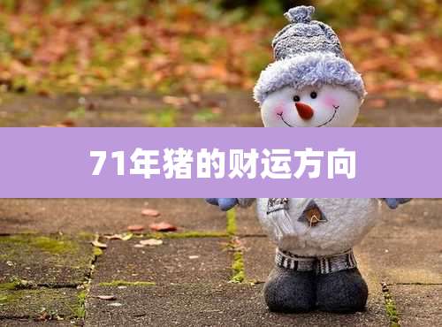 71年猪的财运方向