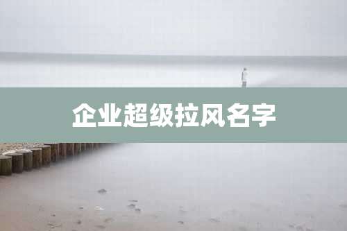 企业超级拉风名字