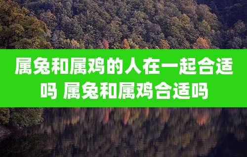 属兔和属鸡的人在一起合适吗 属兔和属鸡合适吗
