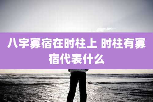 八字寡宿在时柱上 时柱有寡宿代表什么